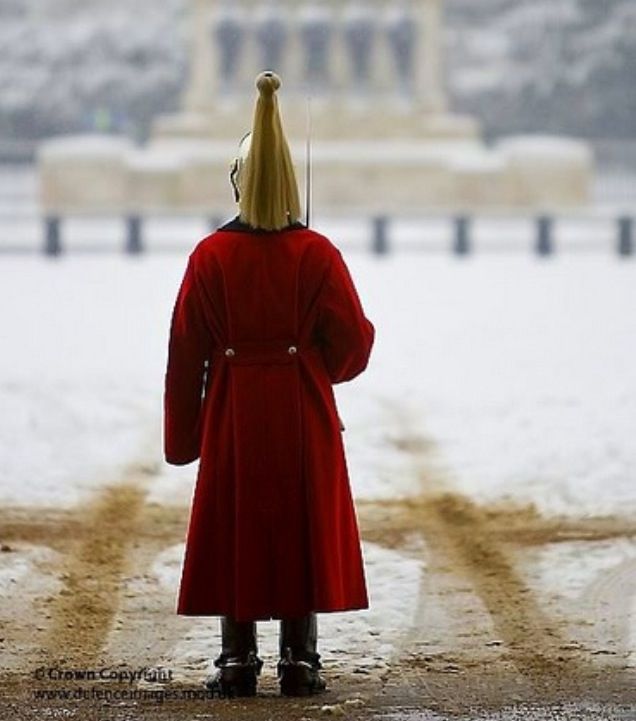 British War Horse Guard Jacket - Jacket Winter Clothing 评论和价格